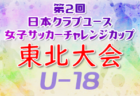 沖縄メディア サッカーニュース（11月）