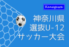 2022年度第29回関西小学生サッカー大会（日刊スポーツ杯）丹有予選（兵庫）優勝は弥生FC！未判明分情報募集中です！