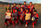 2022年度 第25回兵庫県中学生（U-13）サッカ－選手権大会 姫路予選 優勝はアグア姫路！スコア詳細情報お待ちしています