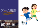 カットイン【サッカー用語解説集】