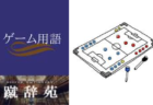 勝ち点【サッカー用語解説集】