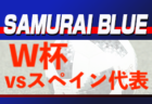 【W杯企画動画】PART2　ワールドカップ、注目選手をライブ配信会場で聞いてみた！