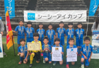 2022年度 日刊スポーツ杯 第29回関西小学生サッカー大会（U-11新人戦）和歌山南予選 （和歌山）優勝はFCジュンレーロ！宮JSCも県大会へ 未判明分の情報提供お待ちしています