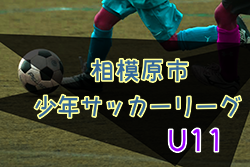 2022年度 相模原市少年サッカーリーグ U11 (神奈川県) 優勝は星が丘ジュニア、むげんゴーゴー、橋本アタックス！