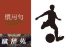 2022年度 第25回兵庫県中学生（U-13）サッカ－選手権大会 北摂予選 優勝はFCパスィーノ伊丹！伊丹FCも県大会へ！全結果掲載