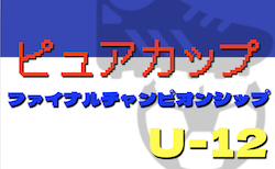 2022年度 ピュアカップ ファイナルチャンピオンシップ2023（静岡）　優勝はピュア FC！最終結果掲載！情報ありがとうございます！