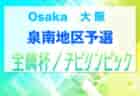 ランキング1位はあの2校！高校サッカー選手権特集 歴代優勝回数 ランキング！2023年度大会で優勝を手にするのはどこだ!?