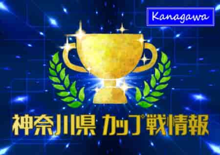 2023年4～8月神奈川県のカップ戦・小さな大会の優勝・上位チーム紹介