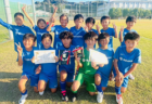 2023年度 U-10淡路サッカーリーグ（兵庫） 10/22判明分結果掲載！前期未判明分含め情報お待ちしています