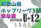 2023年度 シーシーアイカップ（CCI） 第4回岐阜県U-9サッカー大会 東濃地区大会　優勝は恵那アバンツァーレ！県大会出場！