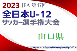 【優勝チームコメント掲載】2023年度 JFA第47回全日本U-12サッカー選手権山口県大会 優勝はレノファ山口FC！