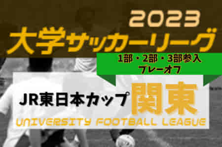 2023年度 関東大学サッカーリーグ戦 中央大1部リーグ残留,慶應義塾大2部リーグ昇格決定ほか 1部参入・2部参入・3部参入プレーオフ全結果掲載！