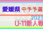 2023年度 第46回愛媛県U-11サッカー新人大会 南予地区予選 代表4チーム決定！結果表掲載