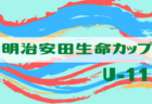 2023年度 東北地区大学サッカーリーグ  優勝は仙台大学！入れ替え戦11/18判明結果掲載！あと1試合の入れ替え戦結果情報募集