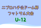 【優秀選手掲載！】2023年度 第102回全国高校サッカー選手権大会 全国大会  優勝は青森山田高校！2大会ぶり4回目の全国制覇