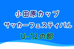 2023年度 第42回小田原サッカーフェスティバル U12の部(神奈川) 11/4,5結果情報お待ちしています！