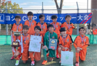 2023年度 JFA第47回 全日本U-12 サッカー選手権大会 愛媛県大会 中予地区予選 代表6チーム決定！結果表掲載