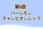 2023年度 第30回関西小学生サッカー大会 北摂予選（兵庫）優勝は伊丹FCJr！県大会出場3チーム決定！全結果掲載