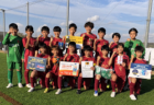 2023年度 JFA第47回全日本U-12サッカー選手権大会兵庫県大会 優勝はセンアーノ神戸！全結果掲載