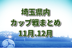 埼玉県内 2023年11月・12月カップ戦大会情報まとめ 第35回のびのびカップ(12/10) 優勝は上高野FC！