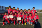 2023年度 全国小学生選抜サッカー in 関西(チビリンピック) 和歌山県大会 東牟婁予選　優勝は新宮SSS！未判明分の情報お待ちしています