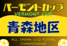 2023年度 U-11チビリンピックサッカー大会 JA全農杯 中河内地区予選（大阪）代表チーム決定！