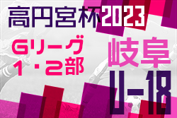 ベストイレブン掲載！高円宮杯岐阜県ユースリーグ 1部･2部（Gリーグ）2023 G2参入戦 最終結果更新！