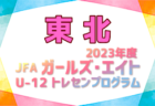2023年度 高円宮杯 JFA U-15サッカーリーグ（東京）T3　プレーオフ結果掲載、T2昇格チーム決定！