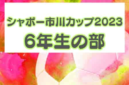 第54回市川市少年サッカー親善大会 シャポー市川カップ2023 6年生の部  決勝進出は南市川JFCブルーとフォルマーレ！決勝は3月上旬予定