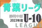 2023年度 静岡青葉ライオンズクラブ杯 U-11リーグ後期 Div1はLIBERDADE、Div2はジョガドール、Div3は城内、Div4はozato westが優勝！
