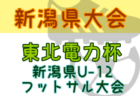 2023年度 OFA第30回大阪府U-11小学生サッカー大会三井のリハウスカップ 中河内地区予選 代表4チーム決定！