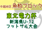 2023年度 第2回 U-12全国少年サッカー大会 新時代 佐野直史杯 決勝大会（東海開催）優勝はVittorias FC （千葉）！