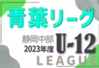 2023年度 静岡青葉ライオンズクラブ杯 U-11リーグ後期 Div1はLIBERDADE、Div2はジョガドール、Div3は城内、Div4はozato westが優勝！