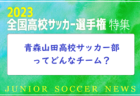 市立船橋高校サッカー部ってどんなチーム？準決勝で青森山田高校と対決！2023年度 第102回全国高校サッカー選手権