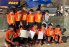 2023年度 第4回みんなでつなごう ワイワイカップ フットサル大会（兵庫）優勝はインテルナシオナル！