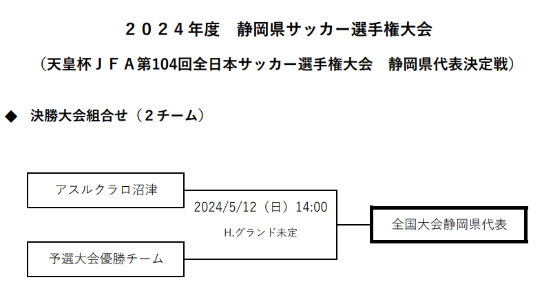 2024年度 天皇杯 静岡県代表決定戦／静岡県サッカー選手権 優勝