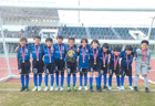 2024年度 JFA第48回全日本U-12サッカー選手権 大阪府大会 各地区代表決定中！日程・組合せ募集中！