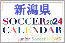 2024年度 サッカーカレンダー【新潟】年間大会スケジュール一覧