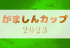 2023年度 第6回ディノスカップ （東京都16ブロック） 優勝は北区さくらガールズブランシェ！引き続き未判明分の結果情報募集