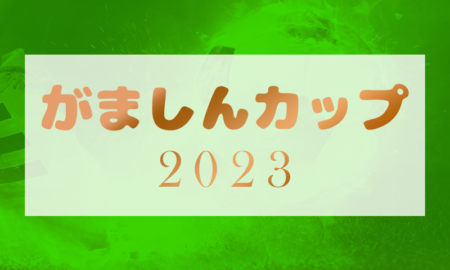 2023年度 がましんカップ U-9サッカー大会（愛知）優勝は豊橋南ブレッツァFC、準優勝にFC豊橋リトルJセレソン！未判明結果 募集中