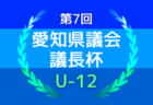 U-12ジュニアサッカーワールドチャレンジ ワーチャレ予選2024 東京会場 東京ヴェルディ･FC85オールスターズ･バディSCが本大会出場権獲得！