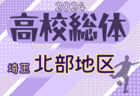 【優勝写真掲載】2024年度 第78回 愛知県高校総体サッカー競技 インターハイ 東三河予選   優勝は時習館高校！愛知県大会出場3チーム決定！