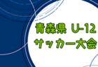 2024年度 U-12広島支部リーグ戦（広島県）5/12結果速報募集中！次節5/18