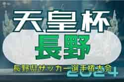 2024年度 第29回長野県サッカー選手権大会（天皇杯予選）準々決勝3/31結果掲載！準決勝4/21