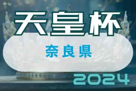 2024年度 第29回奈良県サッカー選手権大会天皇杯 代表決定戦　優勝は奈良クラブ