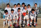 2024年度 第9回 埼玉県スポーツ少年団U-10サッカー 東部地区北ブロック 例年6月開催 組み合わ、日程情報募集