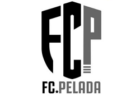 FELEZA FC (フェレザ)ジュニアユース 練習参加型・練習会 6/4他開催！2025年度 埼玉