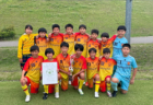 2024年度 DAISEL CUP 第57回兵庫県U-12サッカー選手権大会 7/13～15開催！尼崎、西宮、芦屋、神戸、東播、北播磨、姫路、但馬、丹有代表決定！地区予選・組合せ情報募集