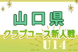 2024年度 山口県クラブユースサッカー新人大会  U-14 中国大会出場3チーム決定！優勝はレノファ山口FC