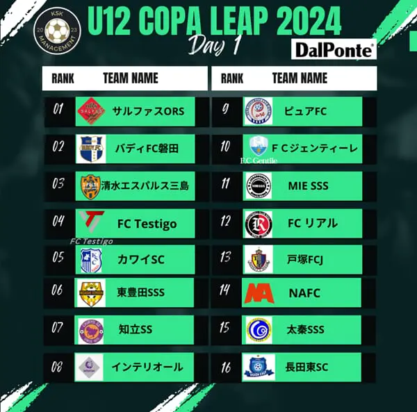 UD サッカーWカップ94USAフルコンプリート 第1回W杯のサッカーボールが